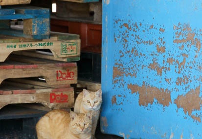 201103261255-DSC01309.jpg