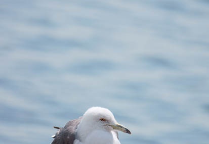 201103261259-DSC01332.jpg