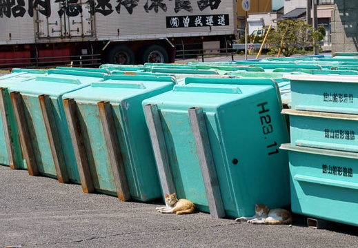 201103261309-DSC01356.jpg
