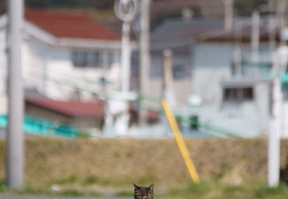 201103261322-DSC01391.jpg