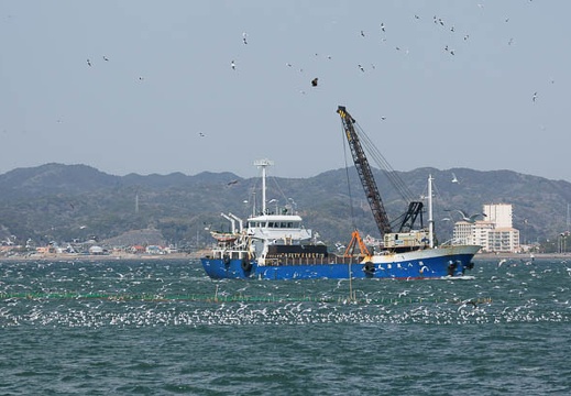 201103261346-DSC01452.jpg