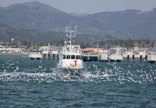 201103261401-DSC01507.jpg