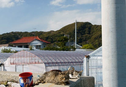 201103261443-DSC01567.jpg
