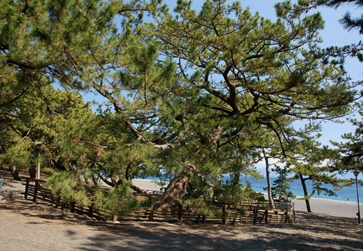 201103281236-DSC01822.jpg