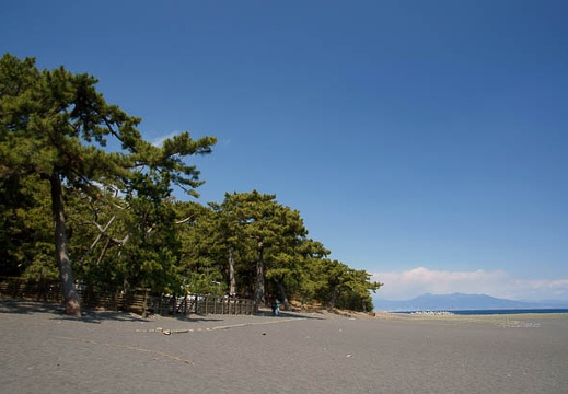 201103281239-DSC01830.jpg