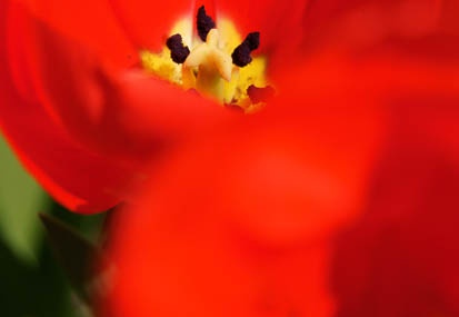 201103281339-DSC01971.jpg