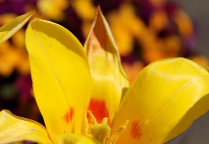 201103281341-DSC01981.jpg