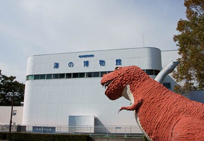 201103281358-DSC01990.jpg