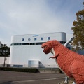 201103281358-DSC01990.jpg