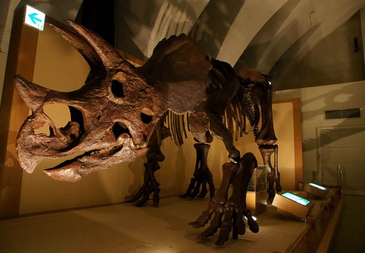201103281405-DSC02006.jpg