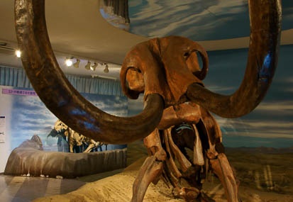 201103281416-DSC02037.jpg