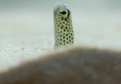 201103281445-DSC02143.jpg