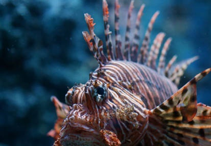 201103281500-DSC02207.jpg