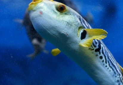 201103281502-DSC02218.jpg