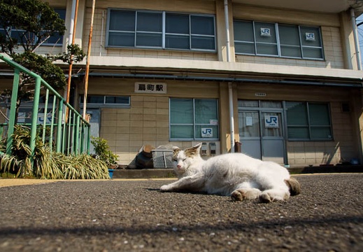 201103291337-DSC02305.jpg