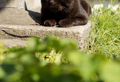 201103291402-DSC02366.jpg