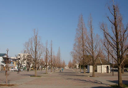 201103291459-DSC02423.jpg