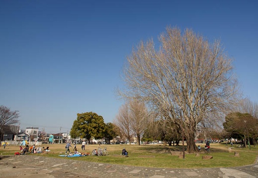 201103291504-DSC02427.jpg