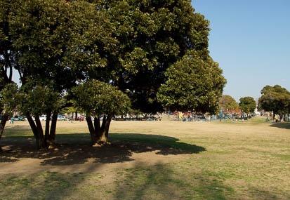 201103291505-DSC02429.jpg