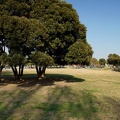 201103291505-DSC02429.jpg