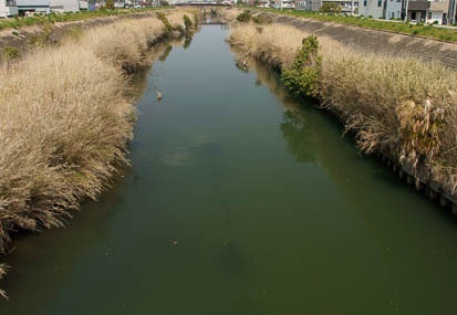 201103301225-DSC02639.jpg