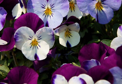 201103301245-DSC02663.jpg