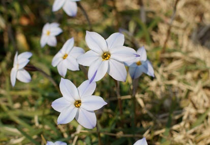 201103301305-DSC02722.jpg