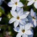 201103301344-DSC02785.jpg