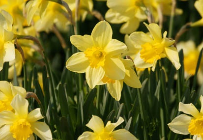 201103301409-DSC02910.jpg