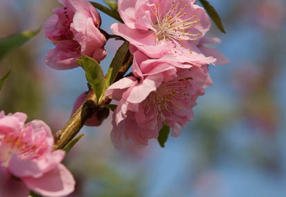 201103301433-DSC02957.jpg
