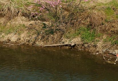201103301437-DSC02969.jpg