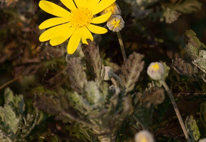 201103301521-DSC03030.jpg