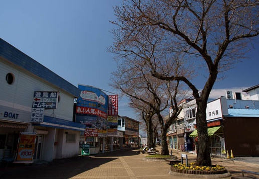 201104011134-DSC03064.jpg