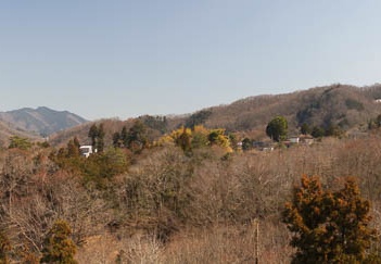 201104011343-DSC03162.jpg