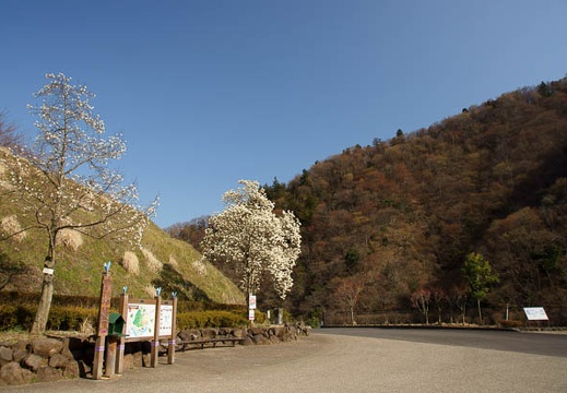 201104011513-DSC03206.jpg