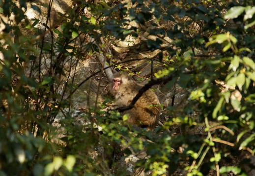 201104011544-DSC03274.jpg
