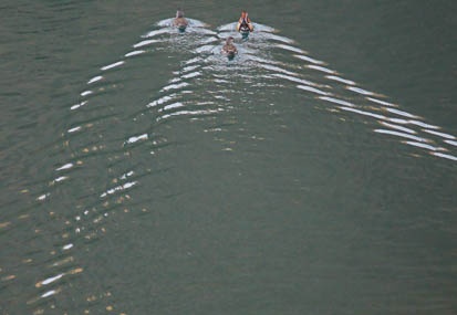 201104011550-DSC03291.jpg
