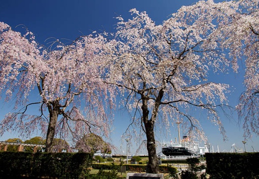 201104040957-DSC03442.jpg