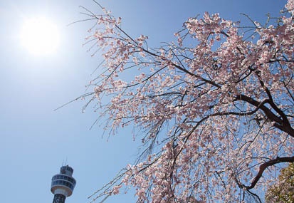 201104041017-DSC03506.jpg