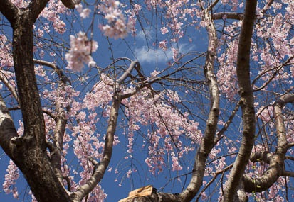 201104041220-DSC03740.jpg
