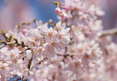 201104041227-DSC03774.jpg