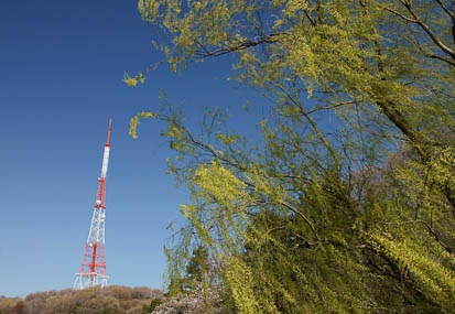 201104041417-DSC03952.jpg