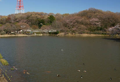 201104041422-DSC03967.jpg