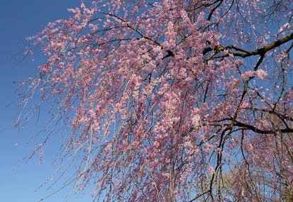 201104041454-DSC04035.jpg