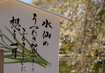201104051215-DSC04337.jpg