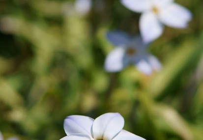 201104061149-DSC04939.jpg