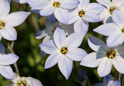201104061152-DSC04952.jpg