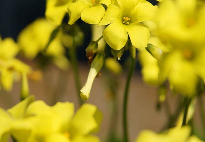 201104061156-DSC04971.jpg
