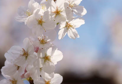 201104061223-DSC05007.jpg