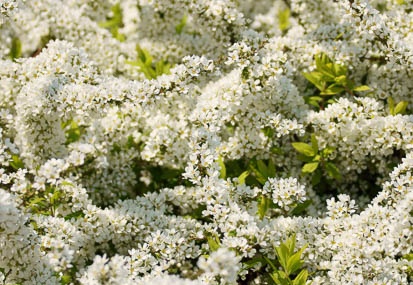 201104061239-DSC05028.jpg